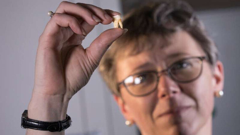 First permanent molars function as health database dating back to before birth