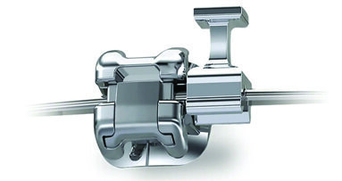 Blazing a trail of clinical excellence