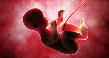 Research finds tooth enamel fast track in humans