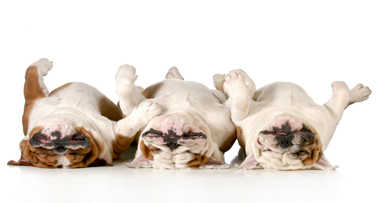 Ohne Zähneputzen ins Bett