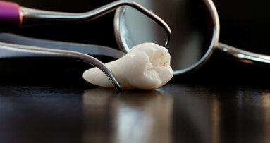 Cercetătorii japonezi au dezvoltat un dinte într-un rinichi de şoarece