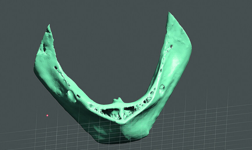 Fig. 22a: The virtual surface model (a), and the actual 3-D printed model (b).