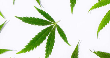 Canadian dental hygienists start the cannabis conversation