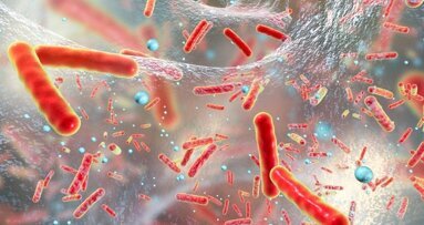 Grafeencoating met antibacterieel zuur voorkomt biofilmvorming op tandheelkundige implantaten