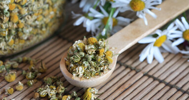 Kamille und Fluorid bilden ein starkes Duo gegen Karies und Mineralverlust