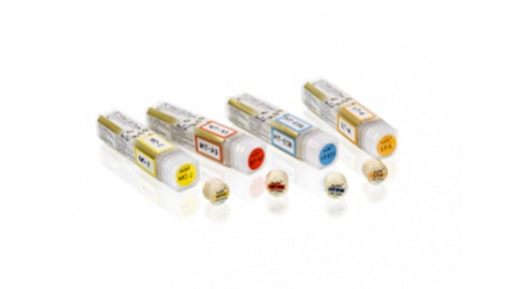 GC – Initial LiSi Press