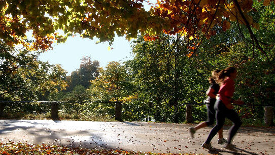 Il wellness nella professione del dentista