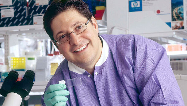 Wissenschaftler entdecken Ursache für Parodontitis