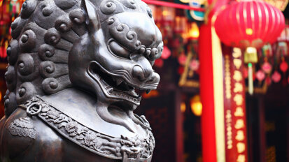 China displays its global dental might