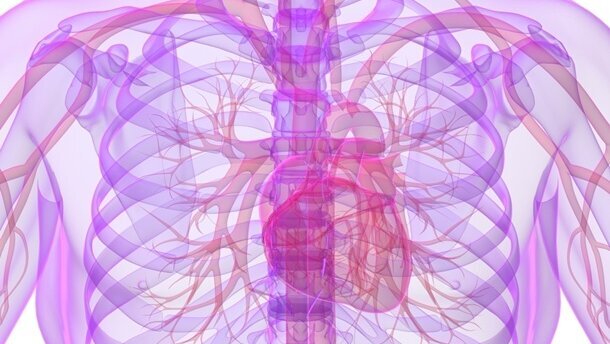 Mund-Infektionen attackieren Blutgefäße