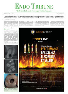 Endo Tribune France No. 1, 2020