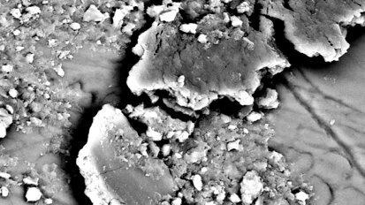 Lámparas que no debe utilizar nunca Lámparas que no debe utilizar nunca