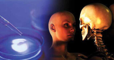 Steiner Laboratories receives patent for compound to stimulate osteogenesis