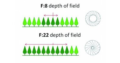 Photographie numérique dentaire – Part. I Réglages de votre appareil photo et des systèmes d’éclairage