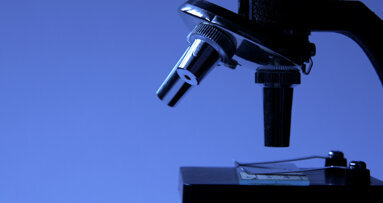 Gingiva-Stammzellen bedeutend für Geweberegeneration