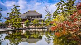 5th Annual Meeting of the IADDM