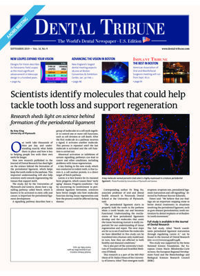 DT U.S. No. 9, 2019 DT U.S. No. 9, 2019