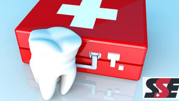 21. Jahreskongress der SSE