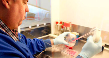 Nuova scoperta nell’ancoraggio all’osso degli impianti in titanio