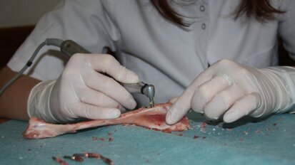 Ocena porównawcza stabilizacji pierwotnej implantów tytanowych i cyrkonowych