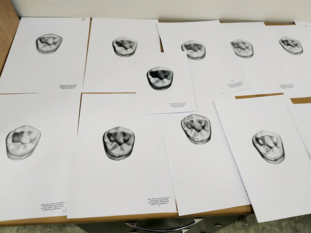 Kresby v porovnání se zadáním