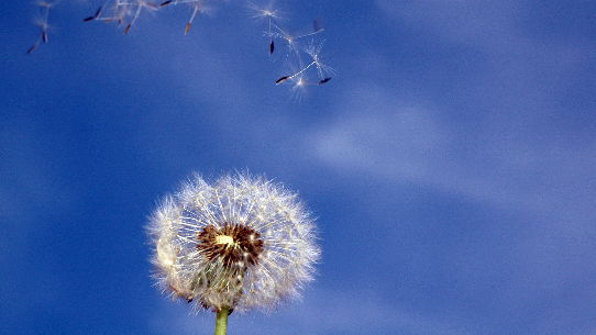 Dentisti: fondamentali per la rilevazione dei sintomi della respirazione con la bocca