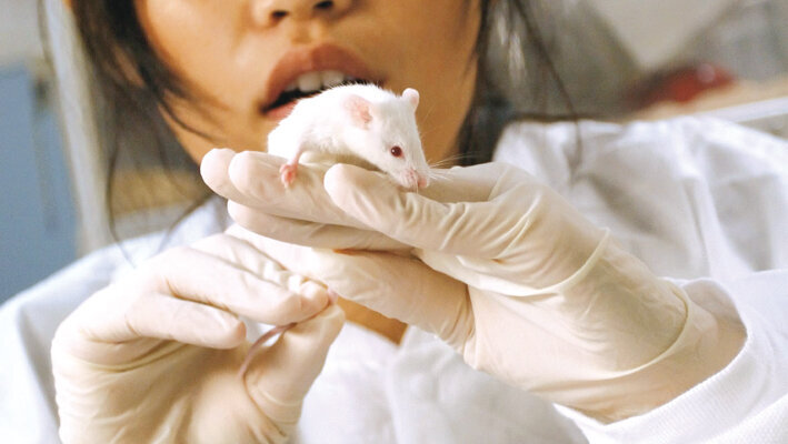 Un grand pas dans le remplacement par ingénierie d’un organe dentaire fonctionnel