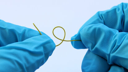 Neuartiges Parodontosestäbchen mit Antibiotikakomplex entwickelt Neuartiges Parodontosestäbchen mit Antibiotikakomplex entwickelt