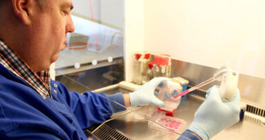 New discovery helps strengthen bonding of titanium implants to bone