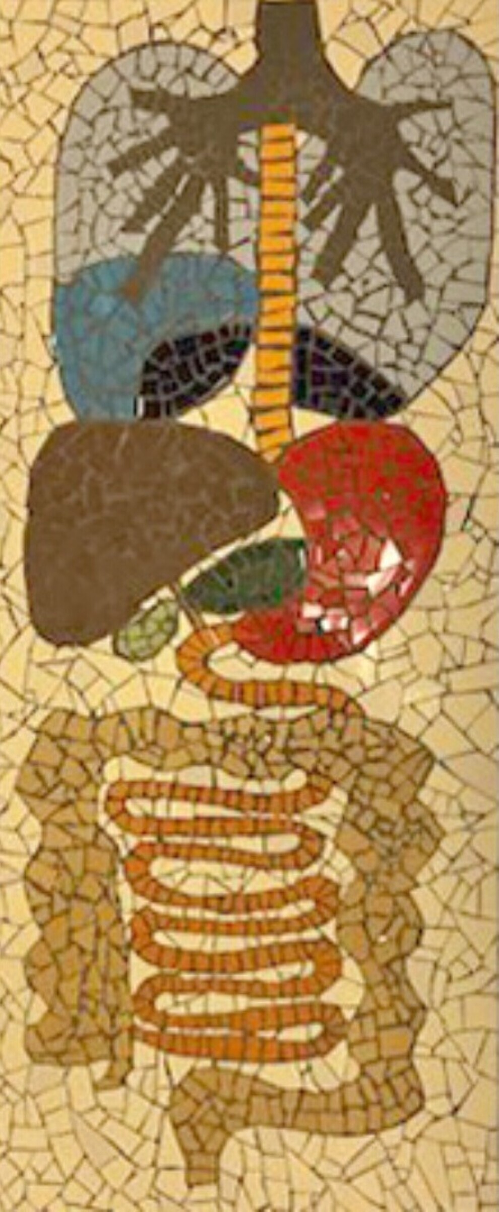 Endoscopiecentrum van Radboudumc.