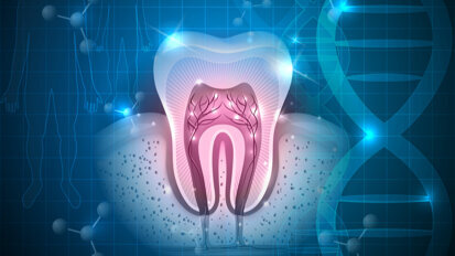 New research may expedite regenerative dentistry New research may expedite regenerative dentistry