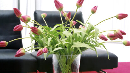 Immagini, suoni e profumi per comunicare efficacemente col paziente attraverso l’ambiente