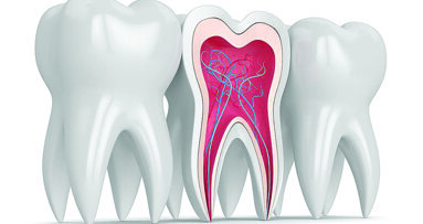 UB receives grant to improve vital pulp therapy, a root canal treatment alternative