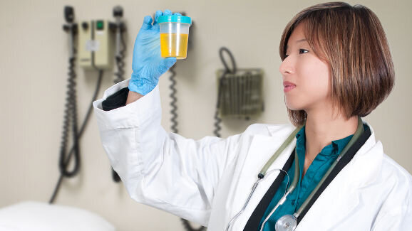 Des chercheurs développent de nouvelles dents à partir d'urine