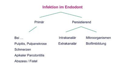 Infektion des Endodonts