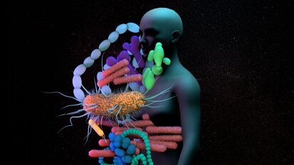 Reversing dysbiosis can treat autoimmune diseases