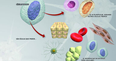 Stem cells in implant dentistry