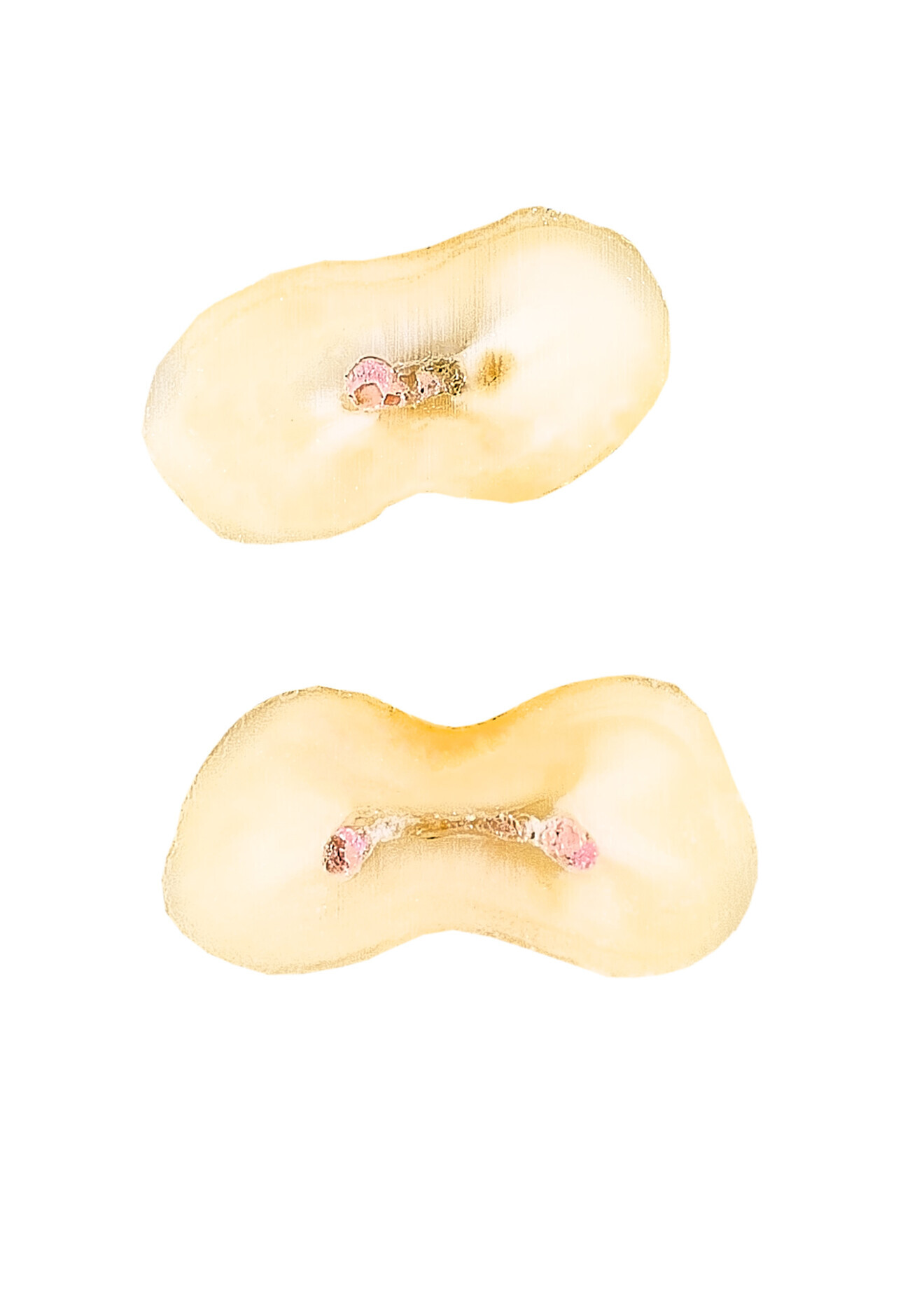 Fig.: 2
