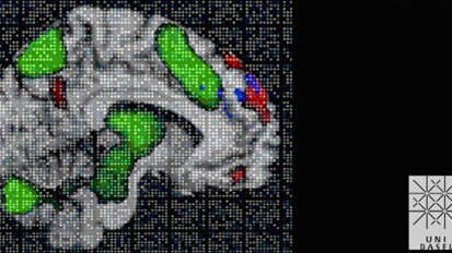 Basler Forscher entdecken Gedächtnismolekül