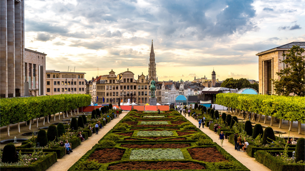 Dentex Brussels 2018