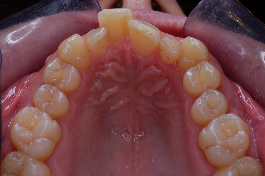 Fig. 7.