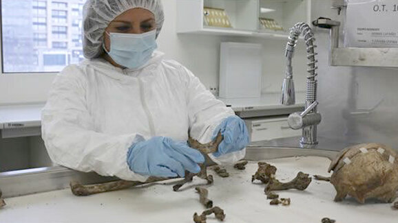 La odontóloga forense que identifica a los desaparecidos en Colombia