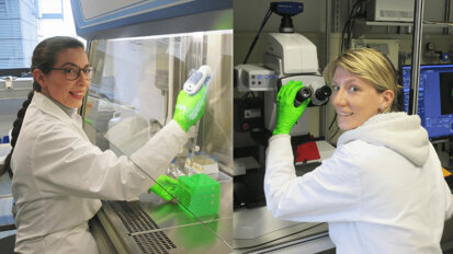 Researchers and dentists join forces to increase durability of dental fillings
