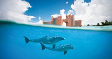 Fourth MIS Global Conference to be held in Paradise Island, Bahamas, in February