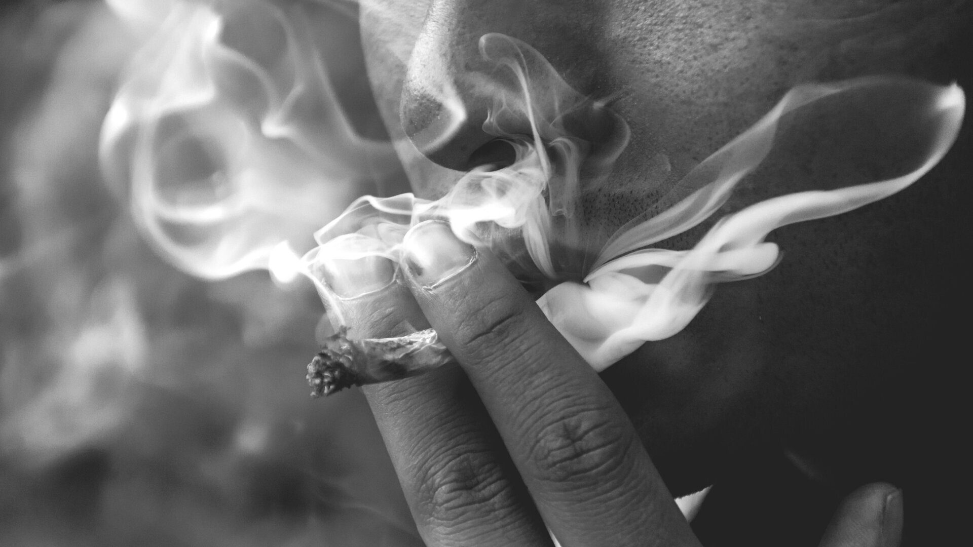 Nowozelandczycy przeciwni legalizacji konopii. Czy zakaz ma wpływ na zdrowie jamy ustnej?