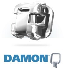 Damon Q