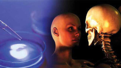 Steiner Laboratories receives patent for compound to stimulate osteogenesis