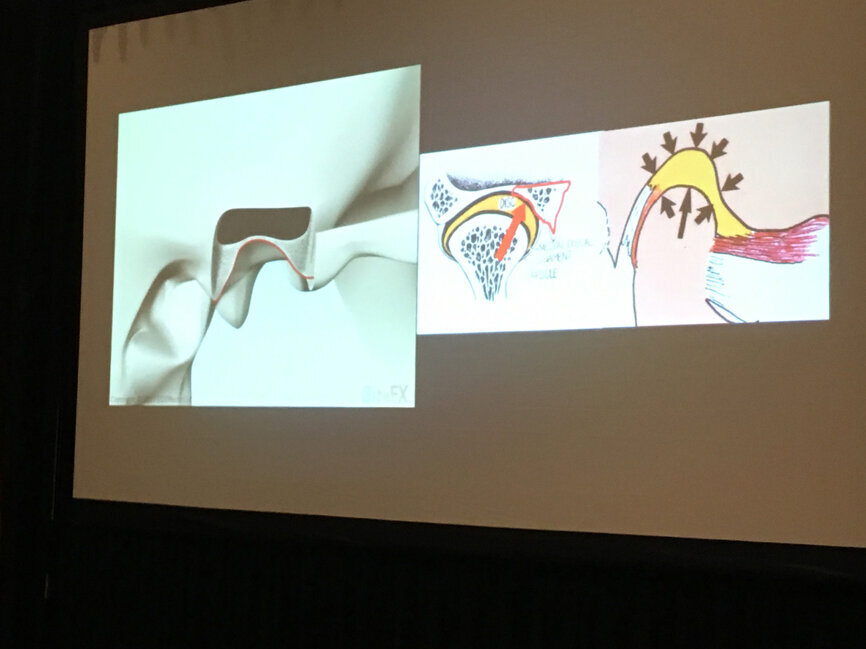 In a special partnership, the FDC presents The Dawson Academy’s ‘Dawson Seminar 1: Functional Occlusion from TMJ to Smile Design’ during the first day of the meeting.