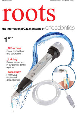 roots C.E. No. 1, 2017