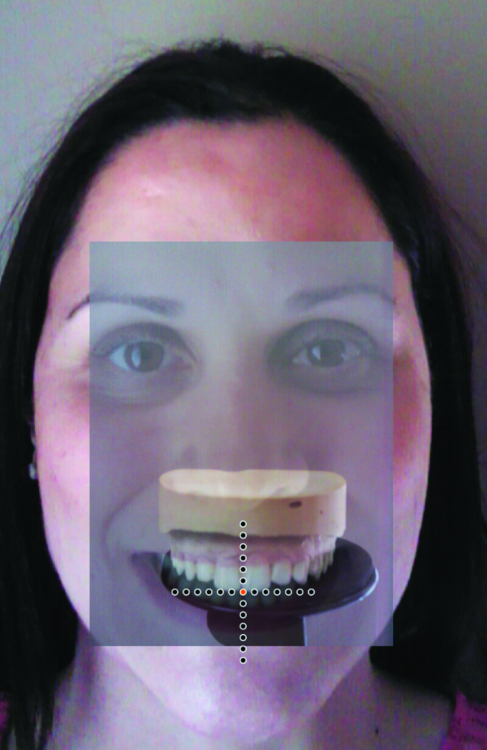 Fig. 10: Screenshot face-cast